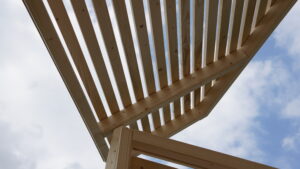 Het uitzicht als je in de Folly ligt bij Folly Art Norg