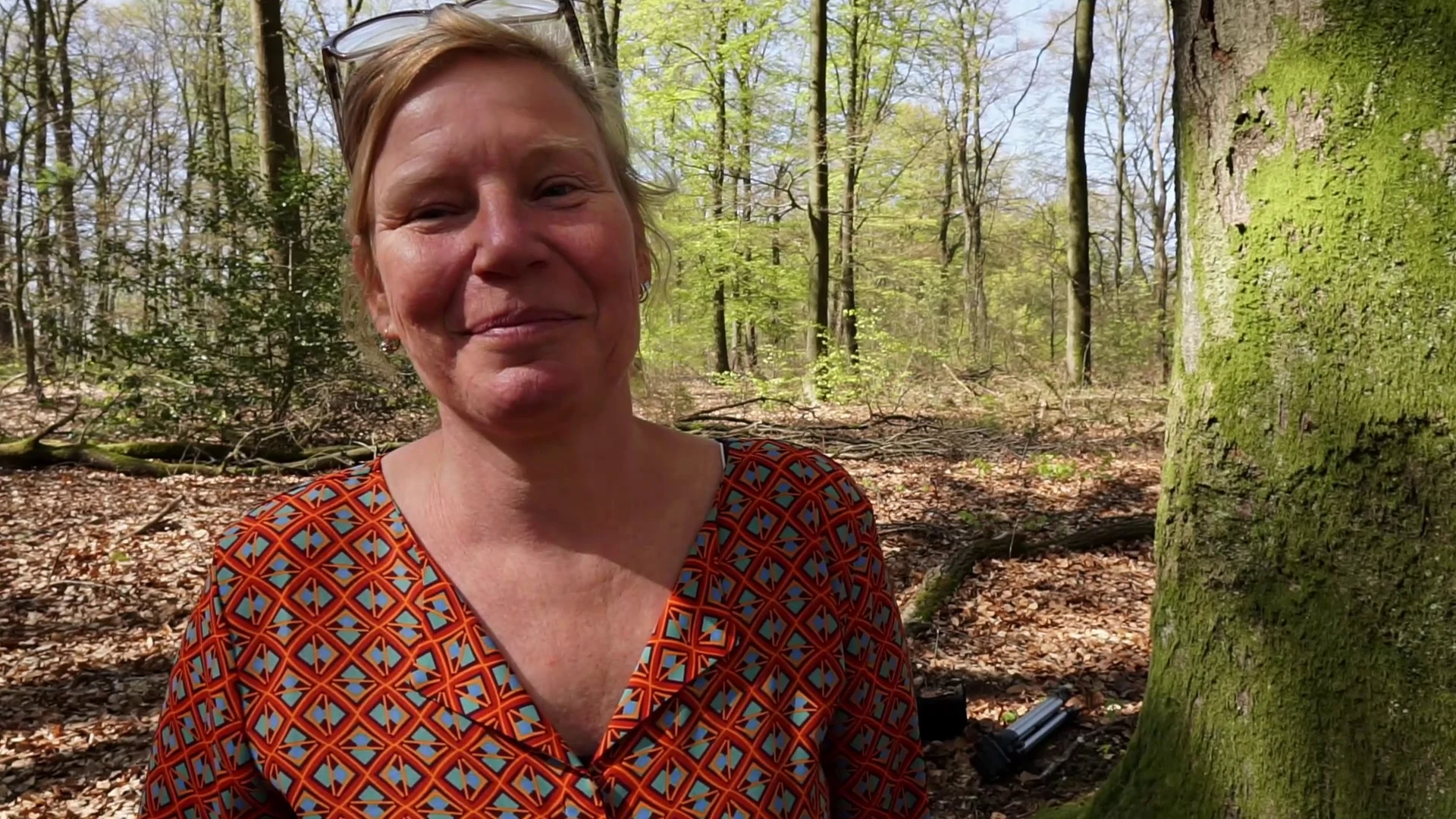 Hoe is videokunstwerk Moving Freedom ontstaan?