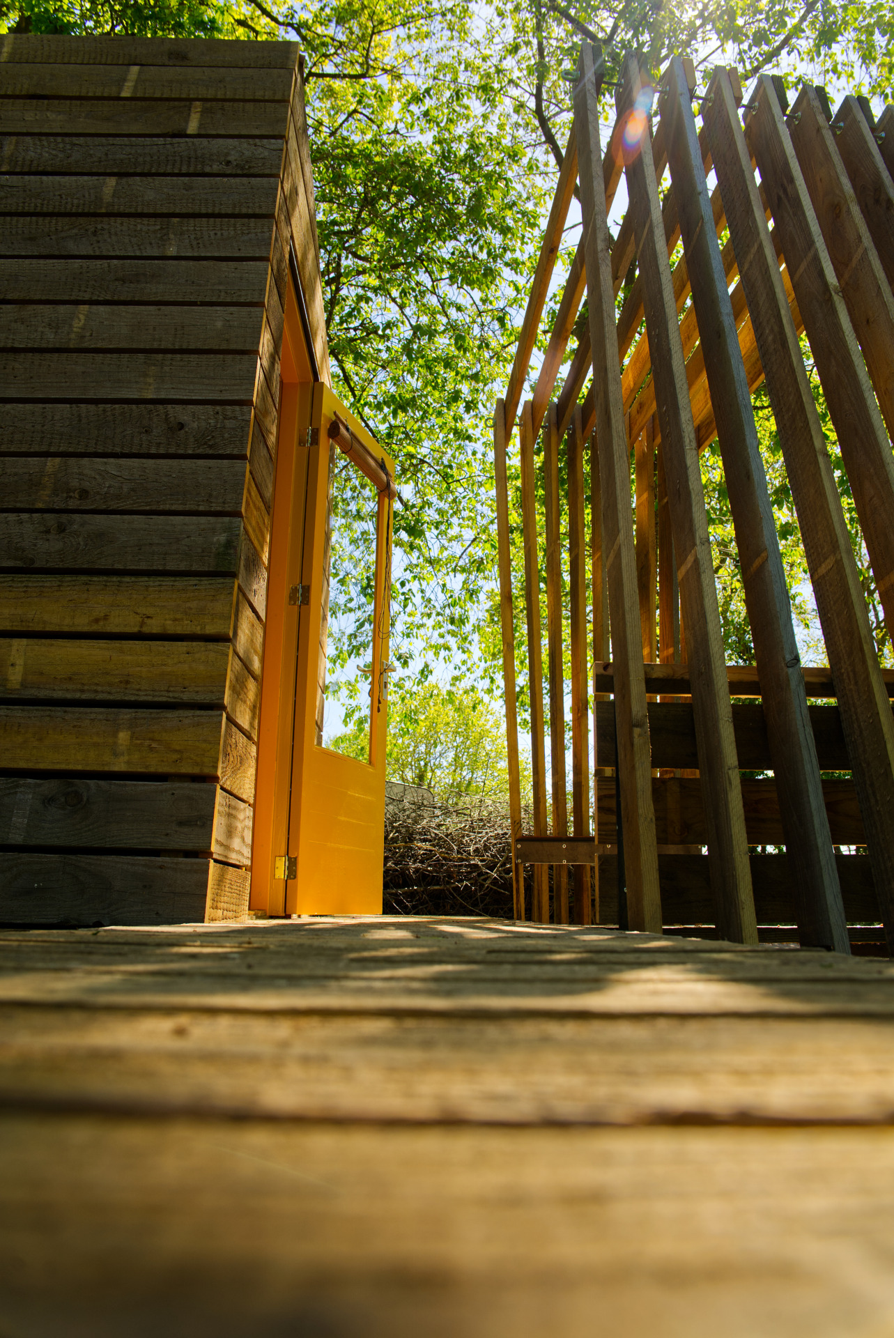 Dwaashoeve Yellow Cabin — een adembenemende locatie-specifieke installatie in Drenthe 1